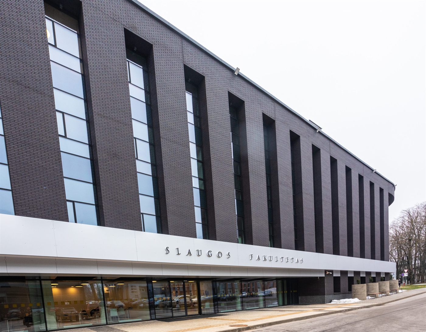 LSMU slaugos fakultetas — fasado apdailos darbai